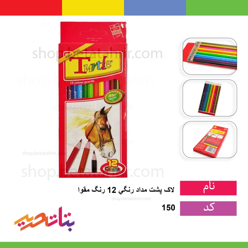 لاک پشت مداد رنگی 12 رنگ مقوا